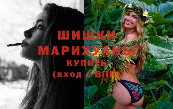эйфоретик Баксан